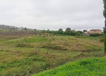 Foto 9 - Casa indipendente via dei girasoli, Montopoli in Val d'Arno - foto 9