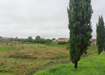 Foto 10 - Casa indipendente via dei girasoli, Montopoli in Val d'Arno - foto 10