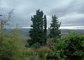 Foto 18 - Quadrilocale via del giardino, Palaia - foto 18