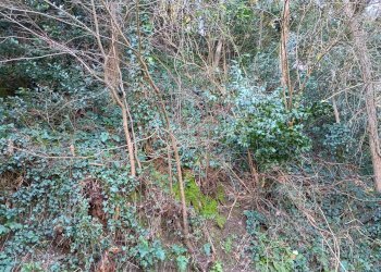 Foto 12 - Casa indipendente via santissima annunziata, Capannoli - foto 12