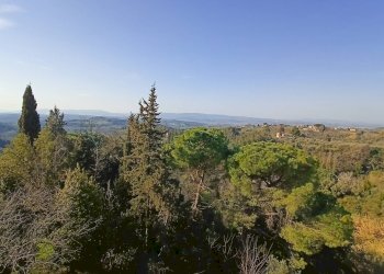 Foto 17 - Appartamento piazza la pira, Palaia - foto 17