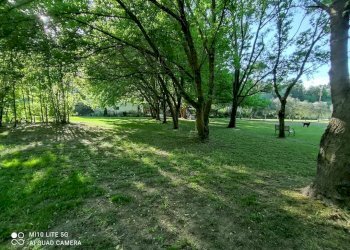 Foto 4 - Rustico campocosimo, Casciana Terme Lari - foto 4