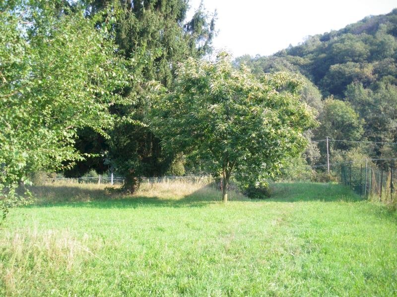 Foto 3 - Terreno edificabile Lusernetta - foto 3