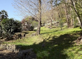 Foto 12 - Villa Torre Pellice - foto 12