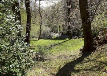 Foto 13 - Villa Torre Pellice - foto 13