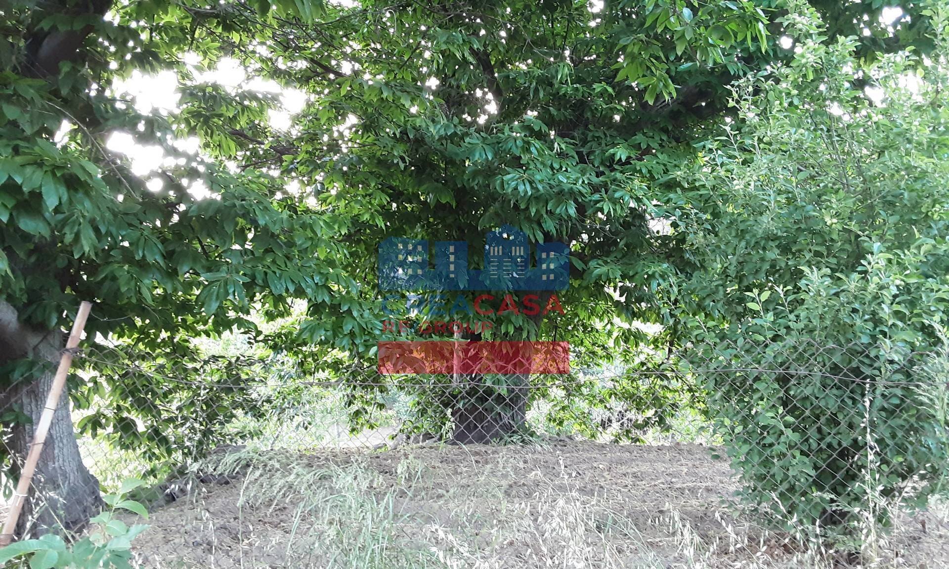 Foto 2 - Terreno agricolo muscianò, Graniti - foto 2