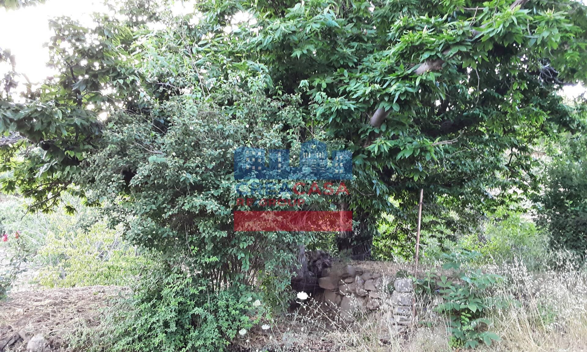 Foto 3 - Terreno agricolo muscianò, Graniti - foto 3