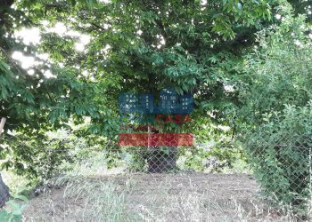 Foto 2 - Terreno agricolo muscianò, Graniti - foto 2