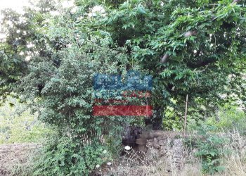 Foto 3 - Terreno agricolo muscianò, Graniti - foto 3