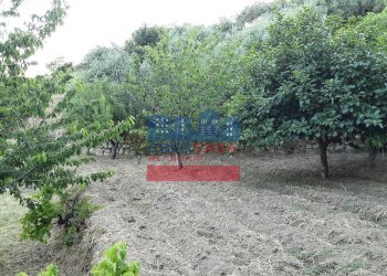 Foto 5 - Terreno agricolo muscianò, Graniti - foto 5