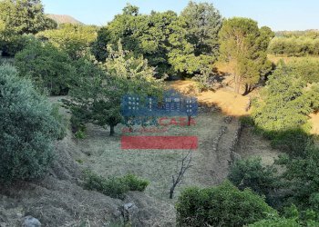 Foto 7 - Terreno agricolo muscianò, Graniti - foto 7