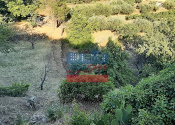 Foto 10 - Terreno agricolo muscianò, Graniti - foto 10