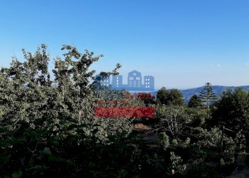 Foto 1 - Villa muscianò, Graniti - foto 1