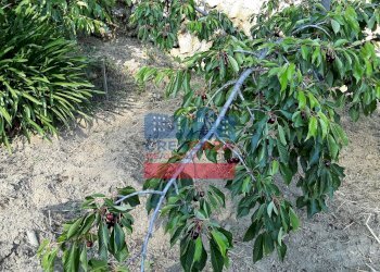 Foto 8 - Villa muscianò, Graniti - foto 8