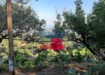 Foto 16 - Villa muscianò, Graniti - foto 16