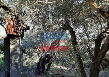 Foto 20 - Villa muscianò, Graniti - foto 20