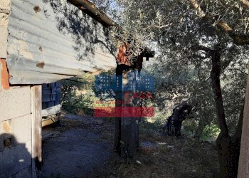 Foto 22 - Villa muscianò, Graniti - foto 22