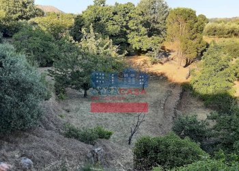 Foto 27 - Villa muscianò, Graniti - foto 27