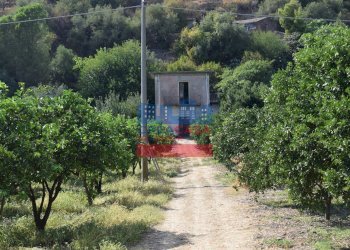 Foto 1 - Terreno agricolo C.da Mare Provvido, Taormina - foto 1