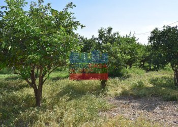 Foto 4 - Terreno agricolo C.da Mare Provvido, Taormina - foto 4