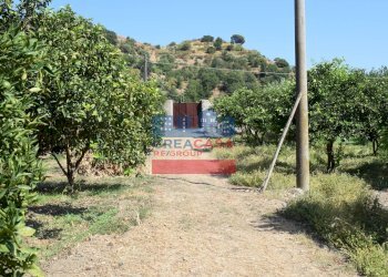 Foto 5 - Terreno agricolo C.da Mare Provvido, Taormina - foto 5