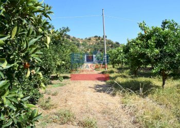 Foto 6 - Terreno agricolo C.da Mare Provvido, Taormina - foto 6