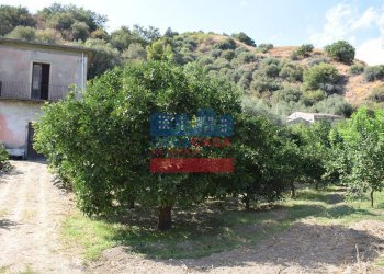 Foto 7 - Terreno agricolo C.da Mare Provvido, Taormina - foto 7