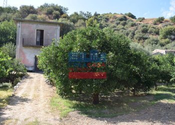 Foto 8 - Terreno agricolo C.da Mare Provvido, Taormina - foto 8