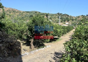 Foto 25 - Terreno agricolo C.da Mare Provvido, Taormina - foto 25