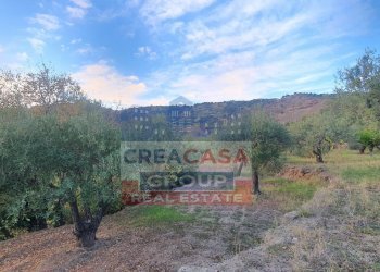 Foto 3 - Terreno agricolo Graniti - foto 3