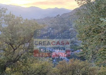 Foto 5 - Terreno agricolo Graniti - foto 5