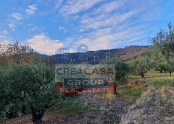 Foto 10 - Terreno agricolo Graniti - foto 10