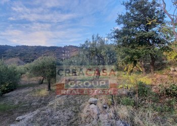 Foto 11 - Terreno agricolo Graniti - foto 11