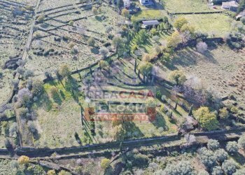 Foto 1 - Agricultural land Via Galliano, Randazzo - photo 1