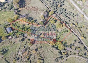 Foto 2 - Agricultural land Via Galliano, Randazzo - photo 2