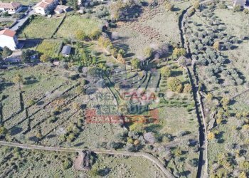 Foto 10 - Agricultural land Via Galliano, Randazzo - photo 10