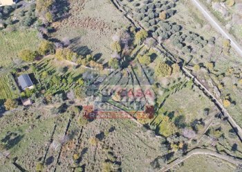 Foto 11 - Agricultural land Via Galliano, Randazzo - photo 11