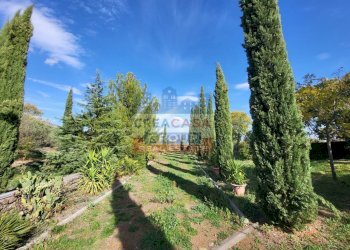 Foto 14 - Villa via galliano, Randazzo - foto 14