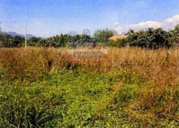 Foto 3 - Terreno agricolo Pegno  Quadararo, Calatabiano - foto 3