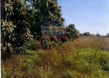 Foto 6 - Terreno agricolo Pegno  Quadararo, Calatabiano - foto 6