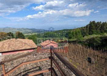 Foto 1 - Terreno agricolo Strada regionale MARENEVE, Linguaglossa - foto 1