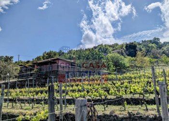 Foto 4 - Terreno agricolo Strada regionale MARENEVE, Linguaglossa - foto 4