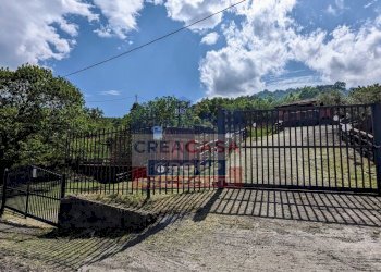 Foto 11 - Terreno agricolo Strada regionale MARENEVE, Linguaglossa - foto 11