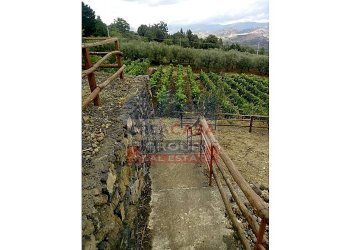 Foto 21 - Terreno agricolo Strada regionale MARENEVE, Linguaglossa - foto 21