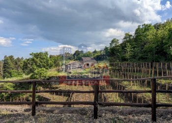 Foto 39 - Agriturismo Strada Regionale Mareneve, Linguaglossa - foto 39