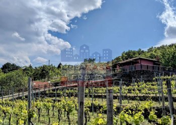 Foto 45 - Agriturismo Strada Regionale Mareneve, Linguaglossa - foto 45