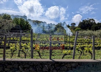 Foto 47 - Agriturismo Strada Regionale Mareneve, Linguaglossa - foto 47