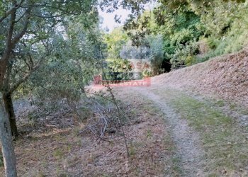 Foto 5 - Villa c.da acqualorto, Castelmola - foto 5