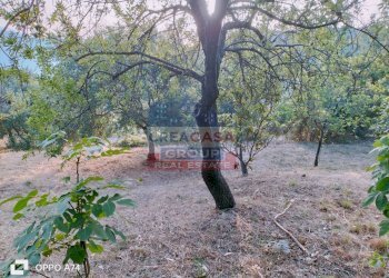 Foto 7 - Villa c.da acqualorto, Castelmola - foto 7