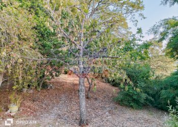 Foto 15 - Villa c.da acqualorto, Castelmola - foto 15